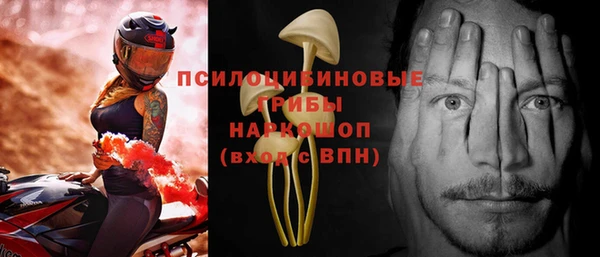 крисы Михайловск
