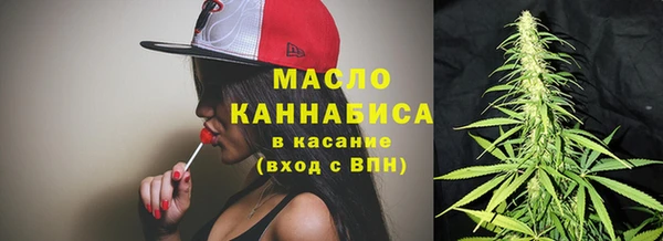 твердый Михайлов