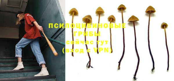 2c-b Михайловка