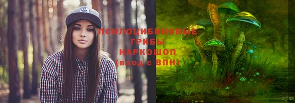 крисы Михайловск