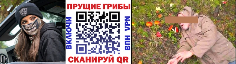 Галлюциногенные грибы Psilocybine cubensis  цены наркотик  blacksprut ссылки  Советск 